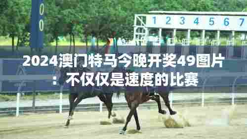 2024澳门特马今晚开奖49图片：不仅仅是速度的比赛