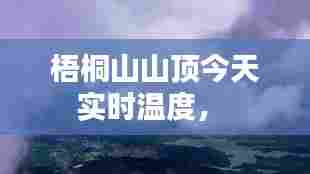 梧桐山山顶今天实时温度， 