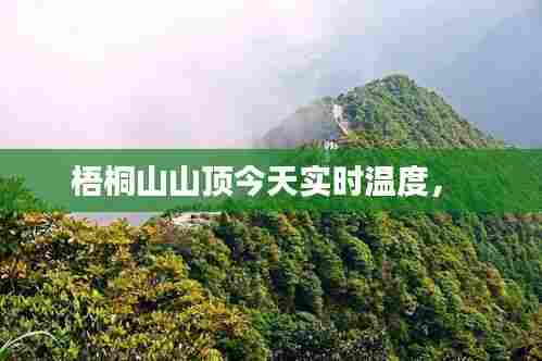 梧桐山山顶今天实时温度,