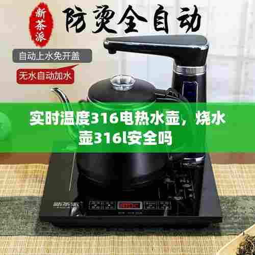 实时温度316电热水壶，烧水壶316l安全吗 
