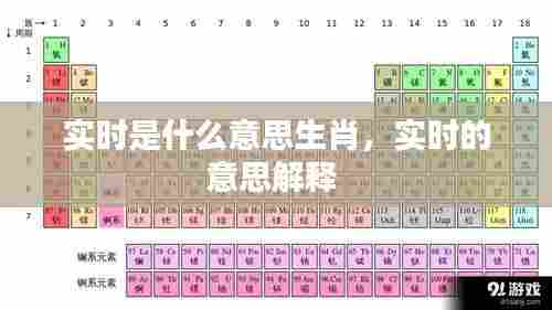 实时是什么意思生肖，实时的意思解释 