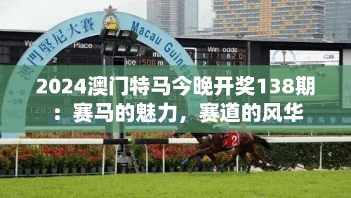 2024澳门特马今晚开奖138期：赛马的魅力，赛道的风华