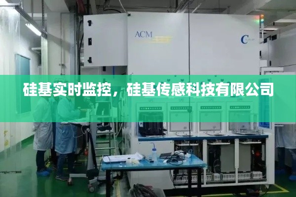硅基实时监控，硅基传感科技有限公司 