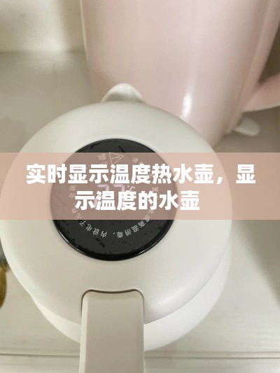实时显示温度热水壶，显示温度的水壶 