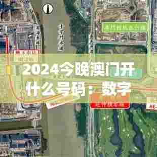 2024今晚澳门开什么号码：数字奇迹等你来揭晓