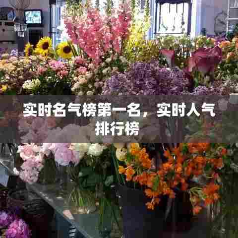 实时名气榜第一名,实时人气排行榜