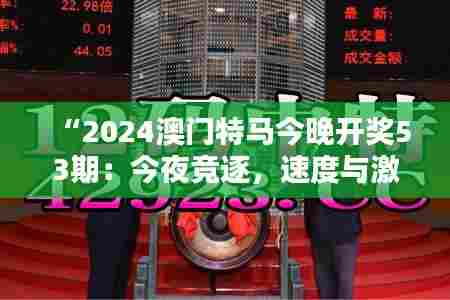 “2024澳门特马今晚开奖53期：今夜竞逐，速度与激情”