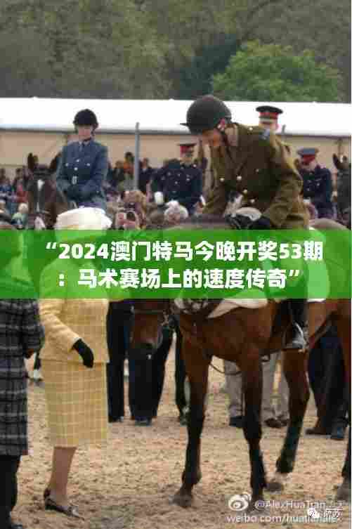 “2024澳门特马今晚开奖53期：马术赛场上的速度传奇”