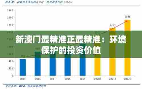新澳门最精准正最精准：环境保护的投资价值