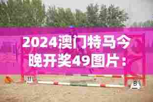 2024澳门特马今晚开奖49图片:马术运动的优雅与力量