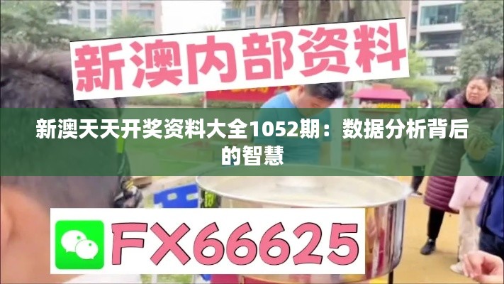 新澳天天开奖资料大全1052期:数据分析背后的智慧