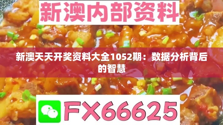 新澳天天开奖资料大全1052期:数据分析背后的智慧