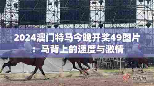 2024澳门特马今晚开奖49图片：马背上的速度与激情