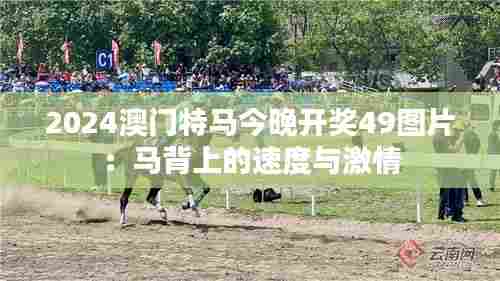 2024澳门特马今晚开奖49图片:马背上的速度与激情