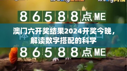 澳门六开奖结果2024开奖今晚，解读数字搭配的科学