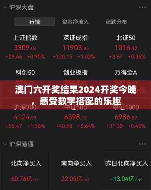 澳门六开奖结果2024开奖今晚，感受数字搭配的乐趣