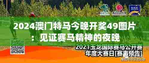 2024澳门特马今晚开奖49图片:见证赛马精神的夜晚