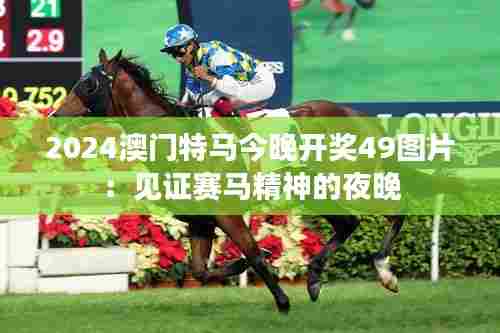 2024澳门特马今晚开奖49图片:见证赛马精神的夜晚