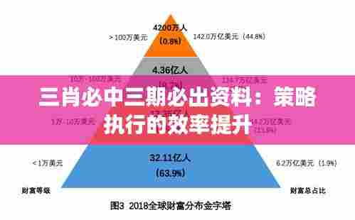 三肖必中三期必出资料：策略执行的效率提升