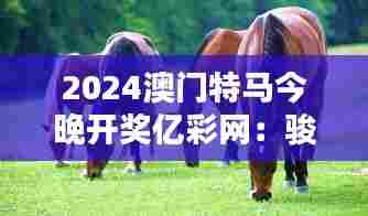 2024澳门特马今晚开奖亿彩网：骏马奔腾，澳门夜未央