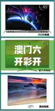 澳门六开彩开奖结果开奖记录2024年：未来趋势的数字学解读