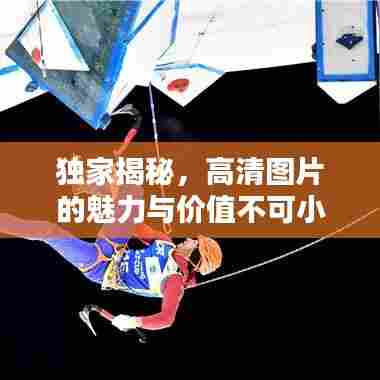 独家揭秘，高清图片的魅力与价值不可小觑