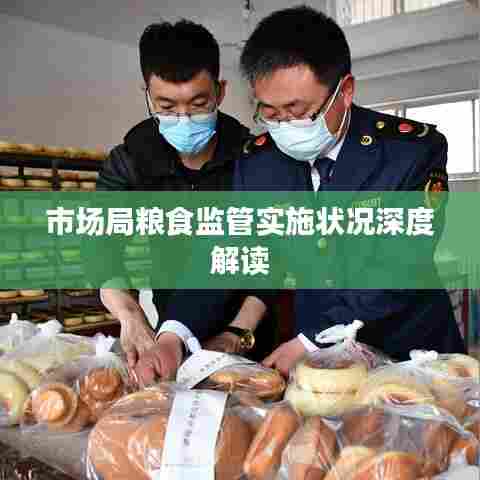 市场局粮食监管实施状况深度解读