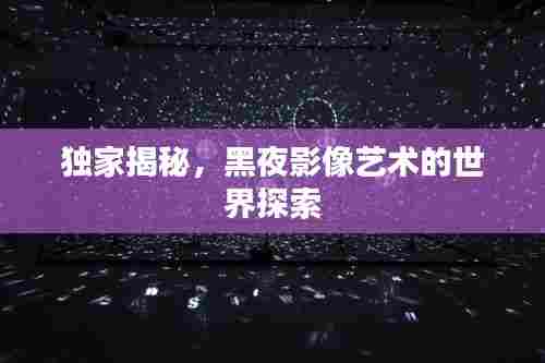 独家揭秘，黑夜影像艺术的世界探索
