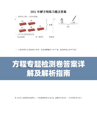 方程专题检测卷答案详解及解析指南