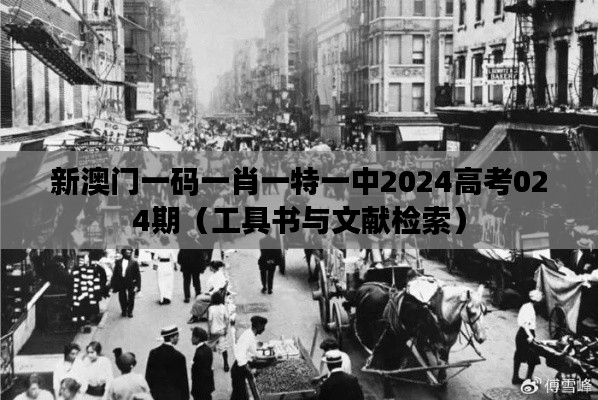 新澳门一码一肖一特一中2024高考024期（工具书与文献检索）