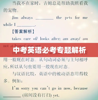 中考英语必考专题解析
