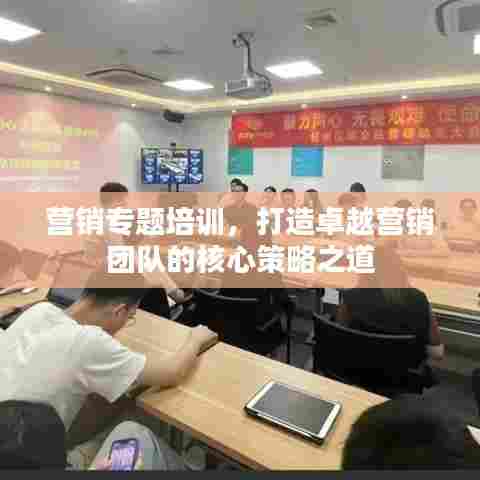 营销专题培训,打造卓越营销团队的核心策略之道