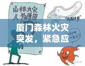 厦门森林火灾突发,紧急应对及深刻反思