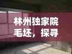林州独家院毛坯，探寻真实质朴的居住之所