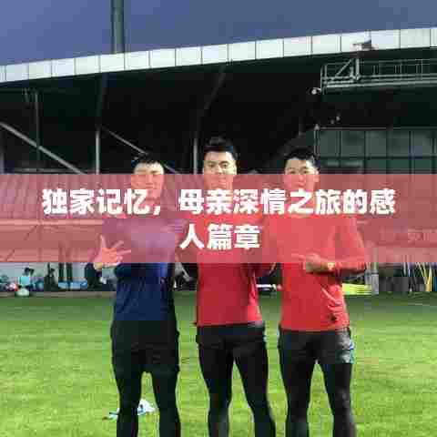 独家记忆,母亲深情之旅的感人篇章