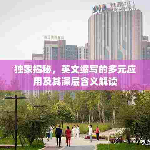 独家揭秘，英文缩写的多元应用及其深层含义解读