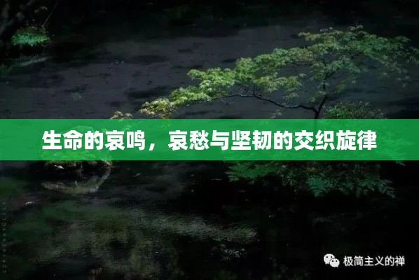 生命的哀鸣,哀愁与坚韧的交织旋律