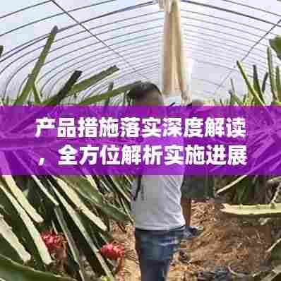 产品措施落实深度解读,全方位解析实施进展与成效