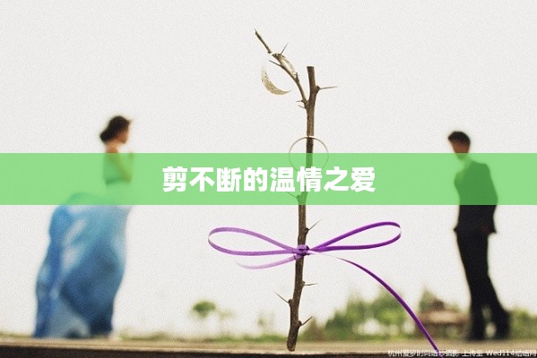剪不断的温情之爱