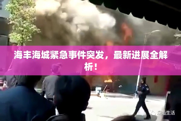 海丰海城紧急事件突发,最新进展全解析!