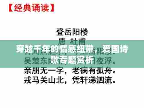 穿越千年的情感纽带,爱国诗歌专题赏析