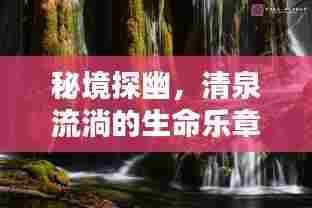 秘境探幽,清泉流淌的生命乐章