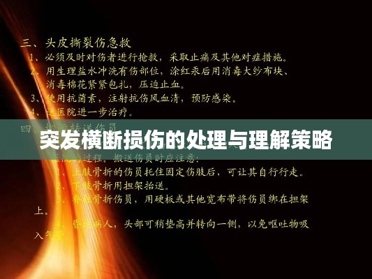 突发横断损伤的处理与理解策略