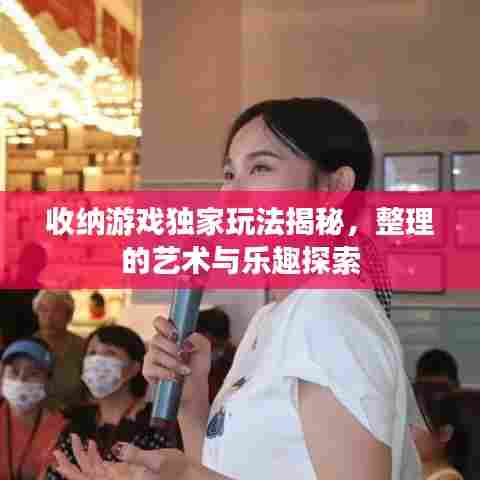 收纳游戏独家玩法揭秘,整理的艺术与乐趣探索