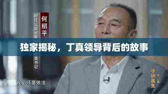 独家揭秘,丁真领导背后的故事