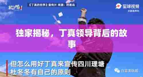 独家揭秘,丁真领导背后的故事