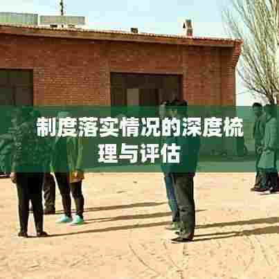 制度落实情况的深度梳理与评估