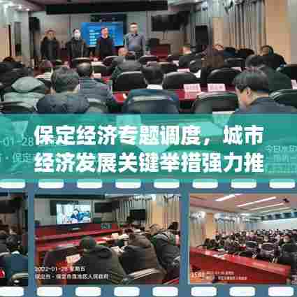 保定经济专题调度,城市经济发展关键举措强力推进