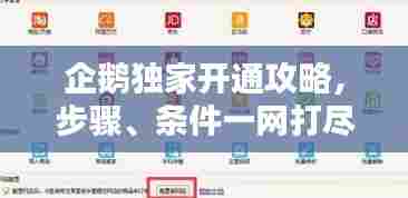 企鹅独家开通攻略,步骤、条件一网打尽!