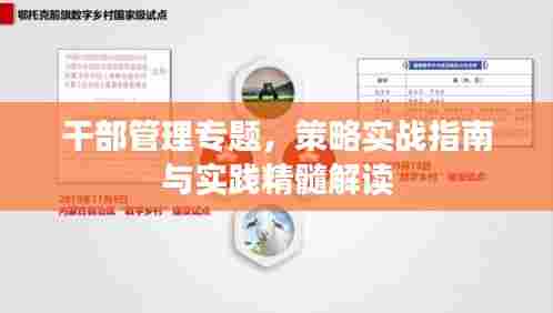 干部管理专题，策略实战指南与实践精髓解读